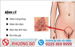 da khoa phuong do