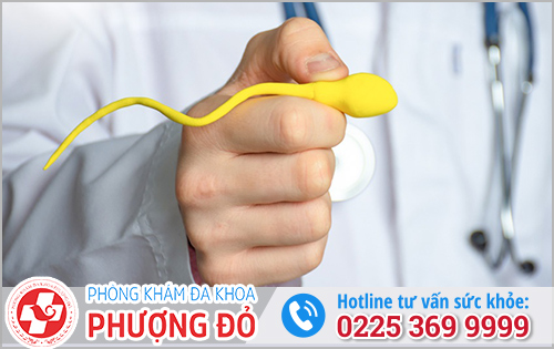 Phòng khám đa khoa Phượng Đỏ