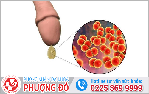 Phòng khám đa khoa Phượng Đỏ