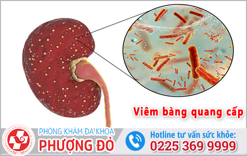 Phòng khám đa khoa Phượng Đỏ