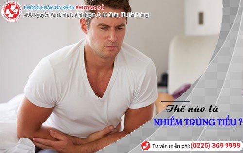 Nhiễm trùng đường tiểu: Bệnh dễ gặp nhưng biến chứng khó lường