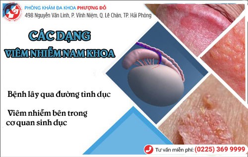 Các dạng viêm nhiễm nam khoa