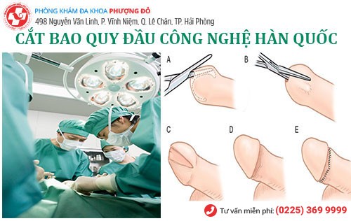 Tổng quan bệnh bao quy đầu