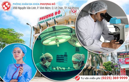 Phượng Đỏ - địa chỉ chữa viêm tuyến tiền liệt uy tín tại Hải Phòng