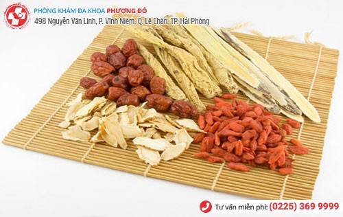 chữa yếu sinh lý nam bằng thuốc đông y