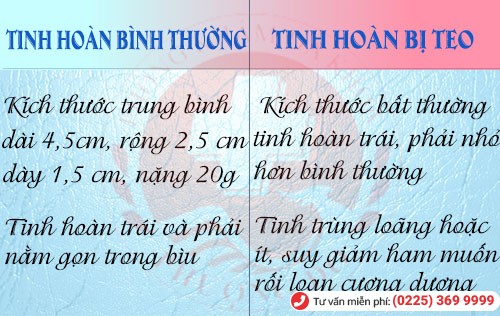 dấu hiệu teo tinh hoàn