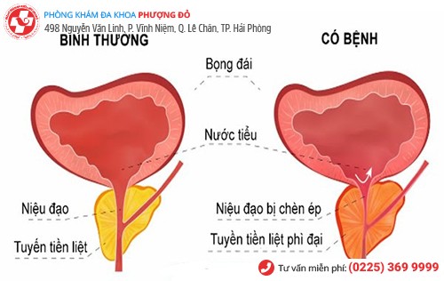 Phòng khám đa khoa Phượng Đỏ