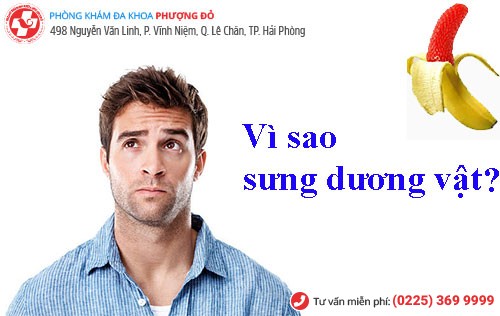 Sưng dương vật - Nguyên nhân và cách hỗ trợ điều trị