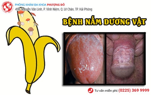 Phòng khám đa khoa Phượng Đỏ