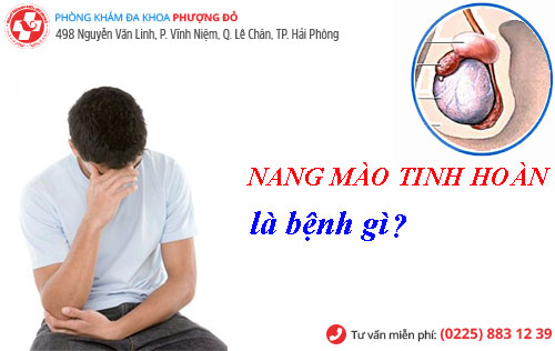 bóc nang mào tinh hoàn 