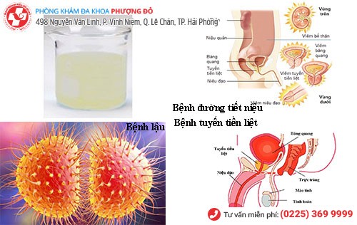 Phòng khám đa khoa Phượng Đỏ