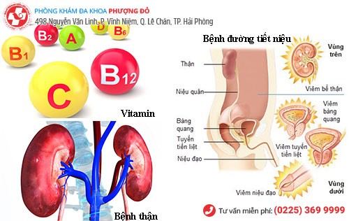 Nước tiểu màu xanh