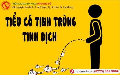 Phòng khám đa khoa Phượng Đỏ