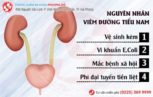 Phòng khám đa khoa Phượng Đỏ