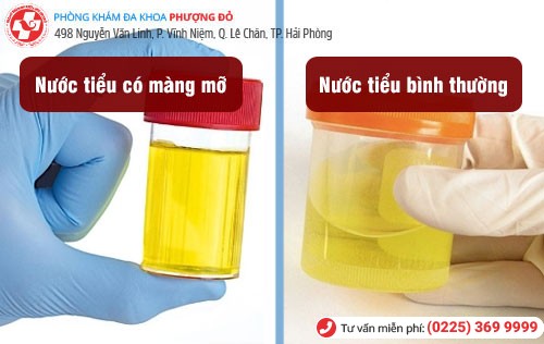 Phòng khám đa khoa Phượng Đỏ