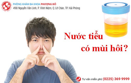 Nước tiểu có mùi hôi là do đâu?