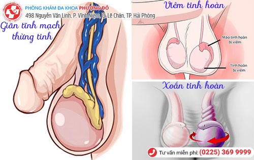 Phòng khám đa khoa Phượng Đỏ