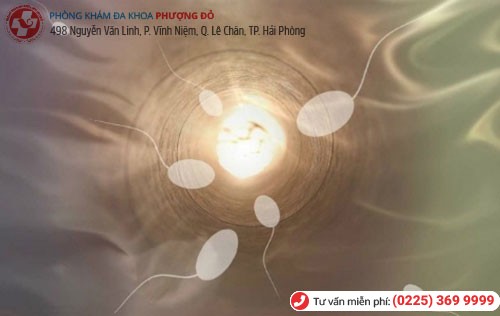 Phòng khám đa khoa Phượng Đỏ