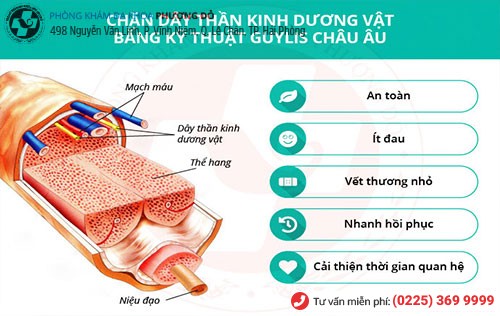 Phòng khám đa khoa Phượng Đỏ