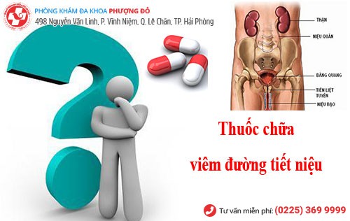 Những lưu ý khi dùng thuốc chữa viêm đường tiết niệu