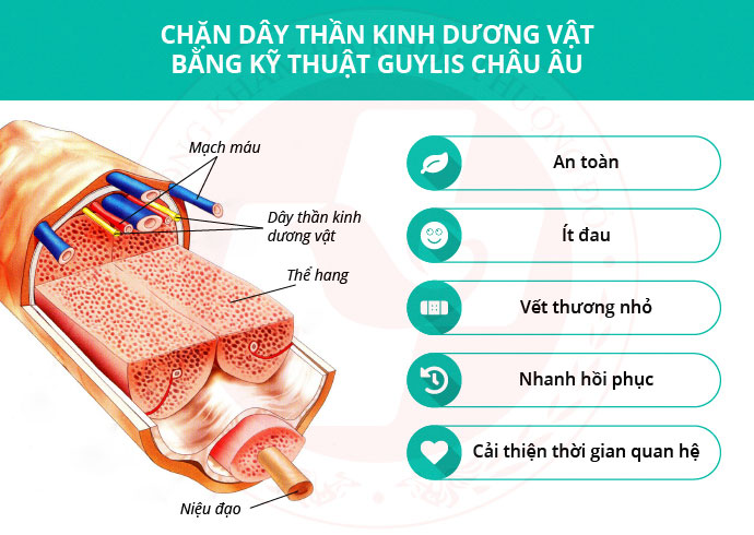 trị bệnh xuất tinh sớm