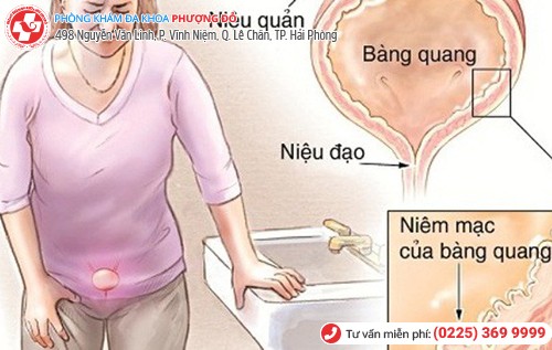 Phòng khám đa khoa Phượng Đỏ