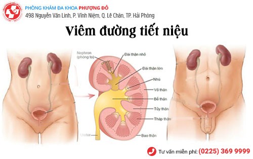 Phòng khám đa khoa Phượng Đỏ