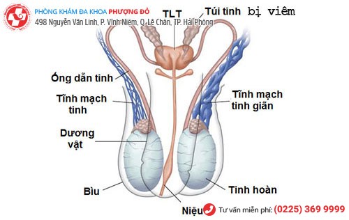 Phòng khám đa khoa Phượng Đỏ