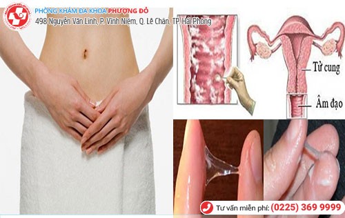 Phòng khám đa khoa Phượng Đỏ
