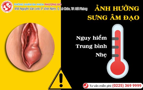 Ảnh hưởng sưng âm đạo