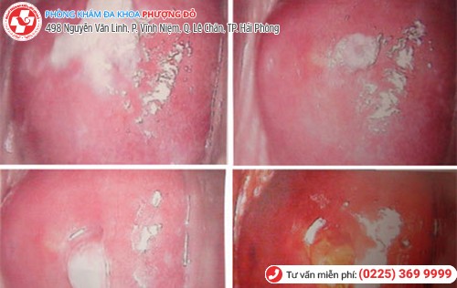 Phòng khám đa khoa Phượng Đỏ