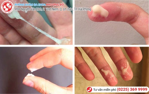 Phòng khám đa khoa Phượng Đỏ