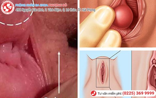 Phòng khám đa khoa Phượng Đỏ