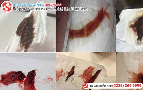 Phòng khám đa khoa Phượng Đỏ