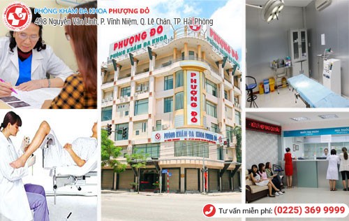 Phòng Khám Phượng Đỏ chữa trị thành công nhiều ca bệnh liên quan đến chất nhầy bất thường Phòng Khám Phượng Đỏ chữa trị thành công nhiều ca bệnh liên quan đến chất nhầy bất thường