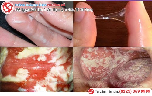 Phòng khám đa khoa Phượng Đỏ