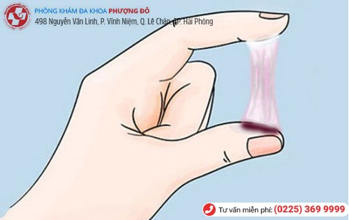 Phòng khám đa khoa Phượng Đỏ