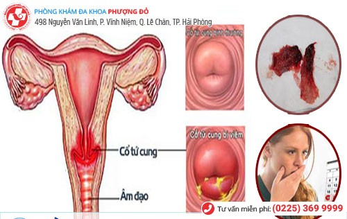 Phòng khám đa khoa Phượng Đỏ