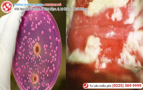 Phòng khám đa khoa Phượng Đỏ