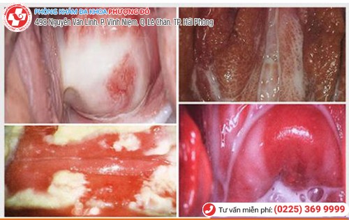 Phòng khám đa khoa Phượng Đỏ