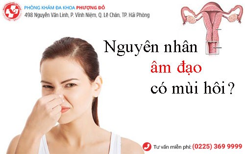 Phòng khám đa khoa Phượng Đỏ