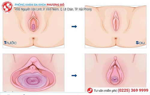 Phòng khám đa khoa Phượng Đỏ