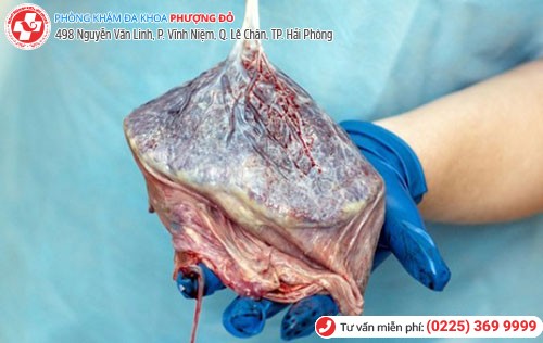 Phòng khám đa khoa Phượng Đỏ