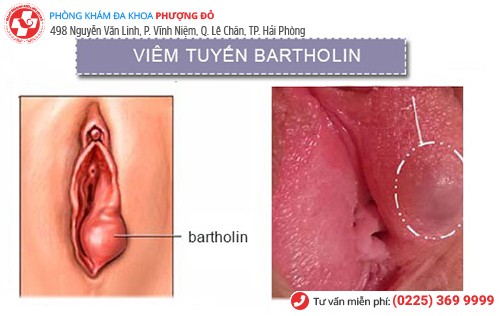 Phòng khám đa khoa Phượng Đỏ