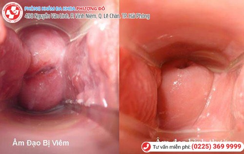 Phòng khám đa khoa Phượng Đỏ