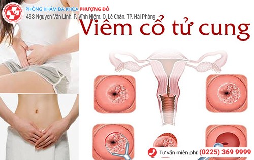 Phòng khám đa khoa Phượng Đỏ