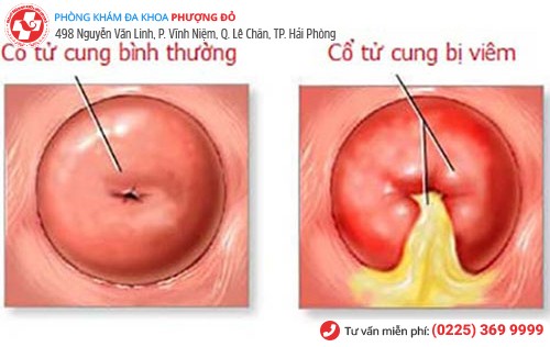 Phòng khám đa khoa Phượng Đỏ