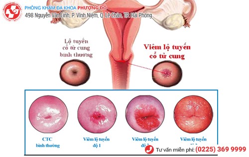 Phòng khám đa khoa Phượng Đỏ