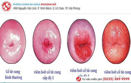 Phòng khám đa khoa Phượng Đỏ