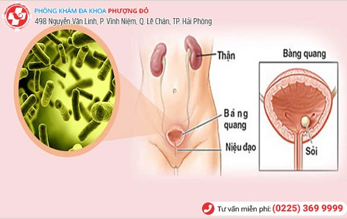 Phòng khám đa khoa Phượng Đỏ